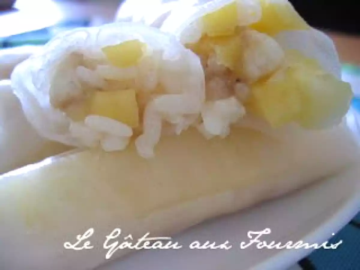 De Petits Rouleaux de Printemps Sucrés aux Fruits Exotiques - photo 2