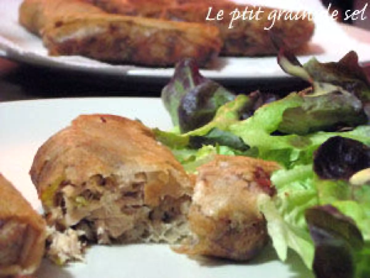 De retour, avec des nems de brick aux thon et saumon