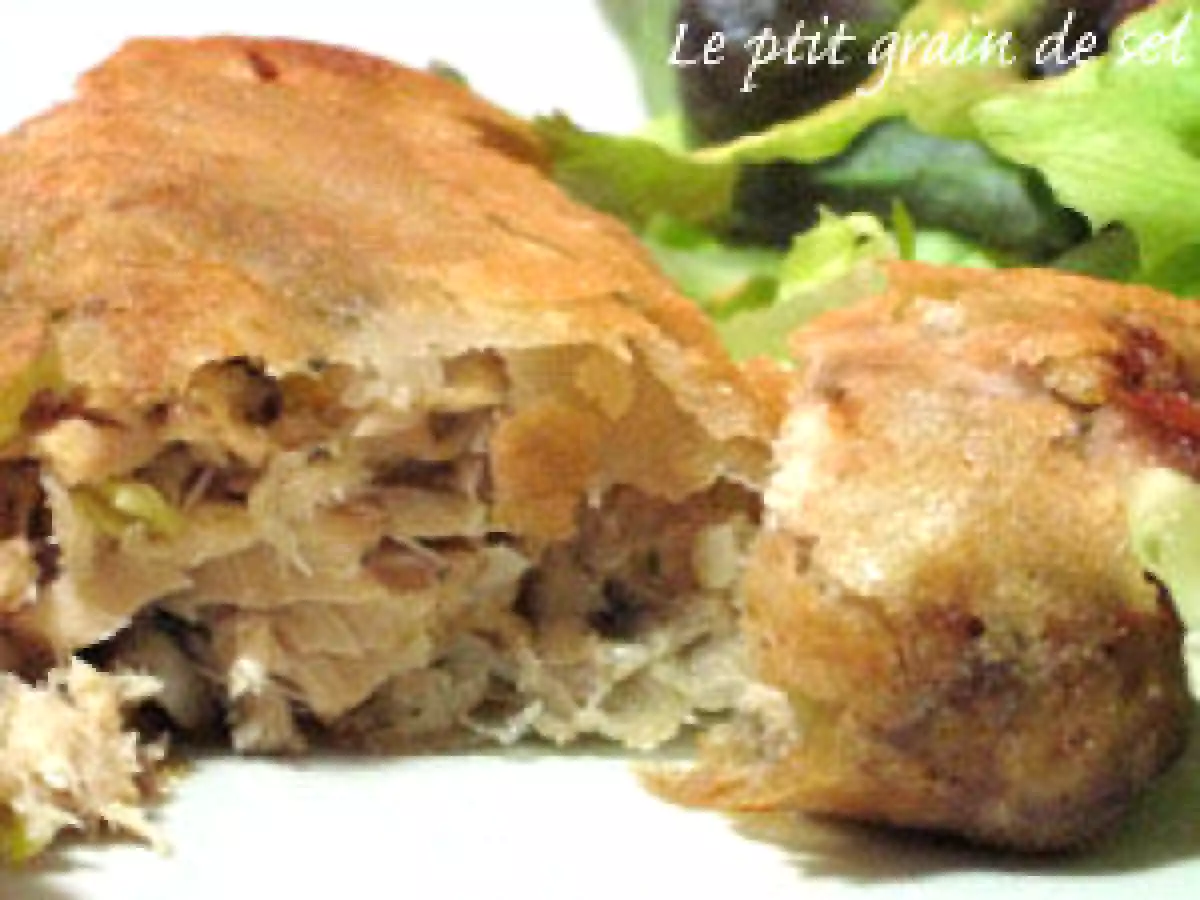 De retour, avec des nems de brick aux thon et saumon - photo 2