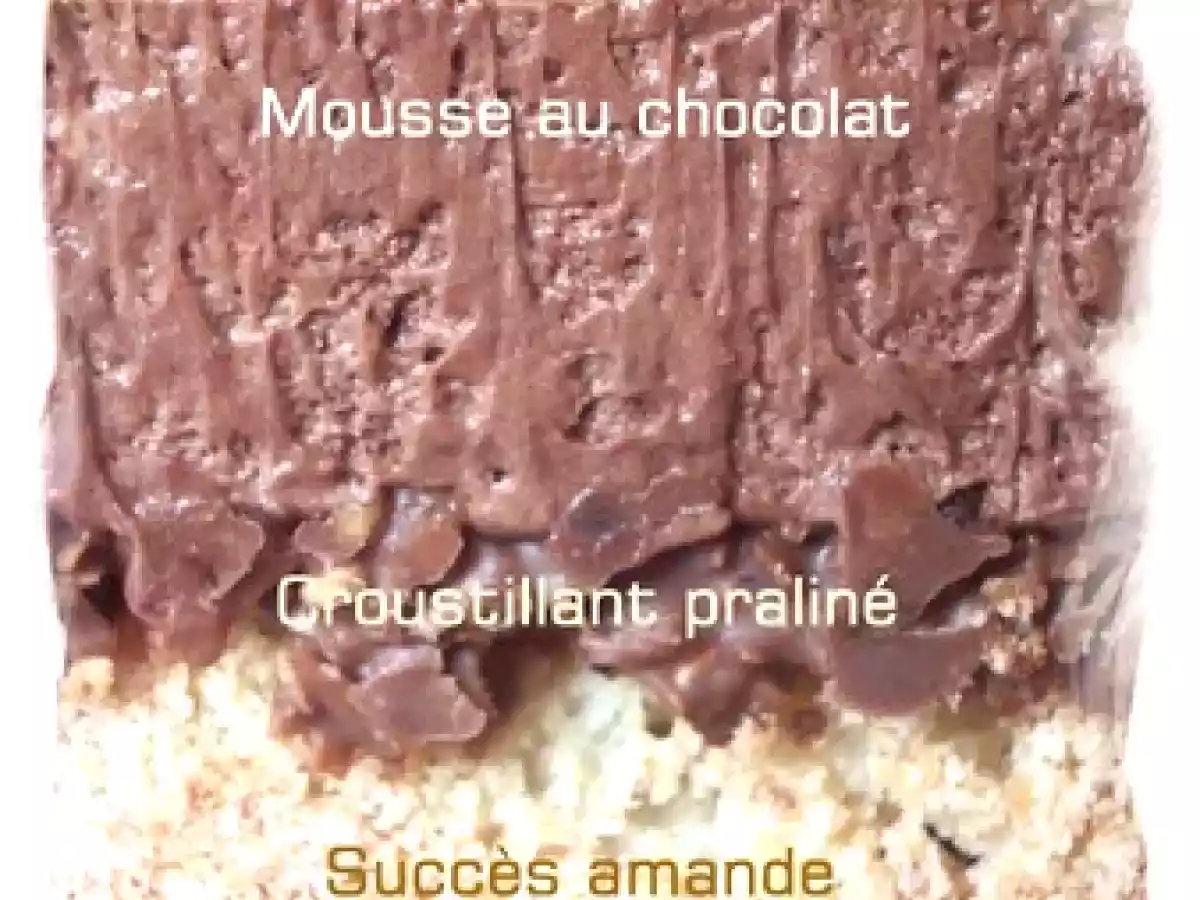 De retour ! avec une petite tuerie : Le royal au chocolat - photo 6