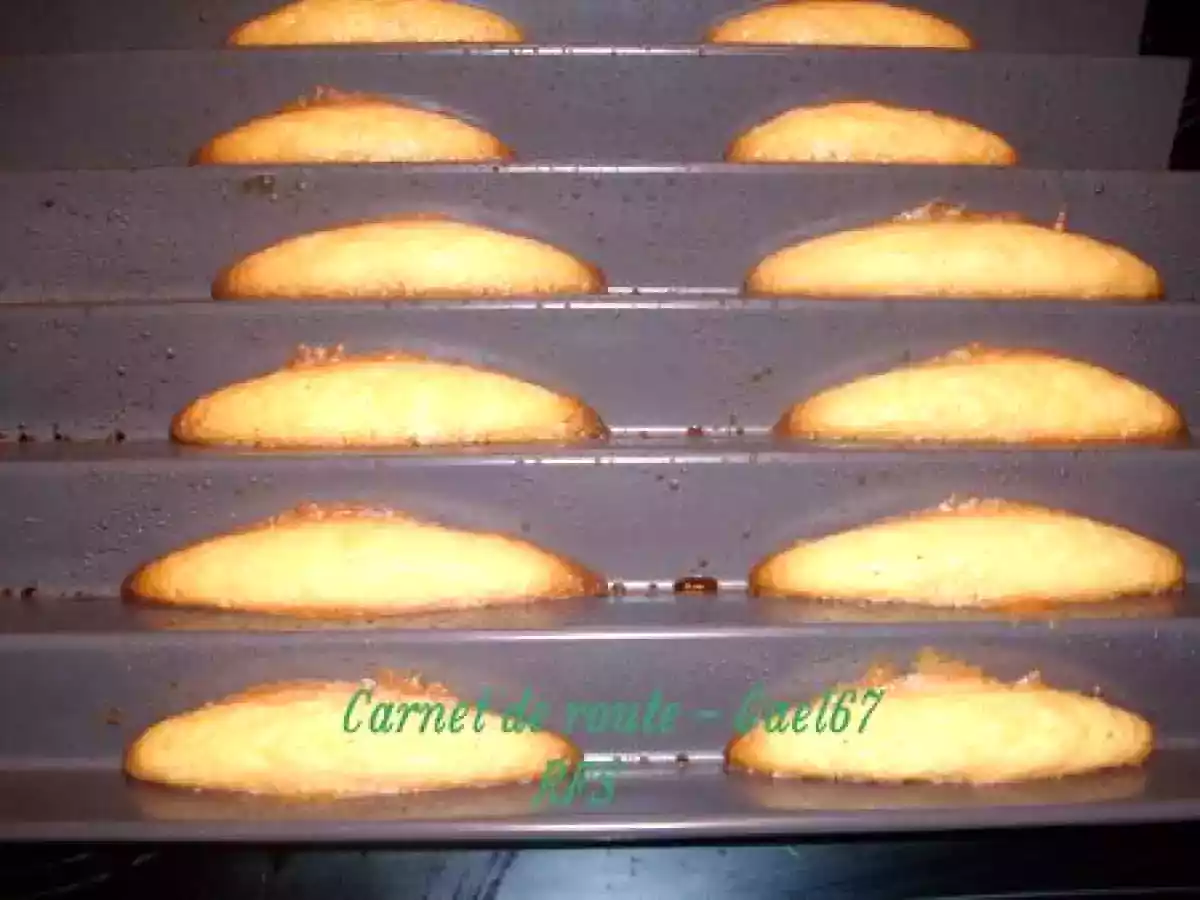 Dents de loup - Wolfzähn - photo 2