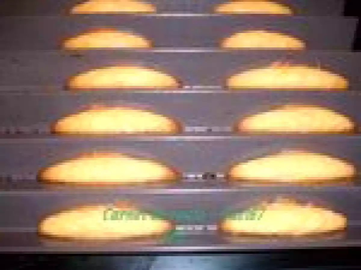 Dents de loup - Wolfzähn - photo 3