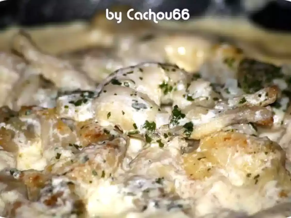 Des jambes de demoiselles...