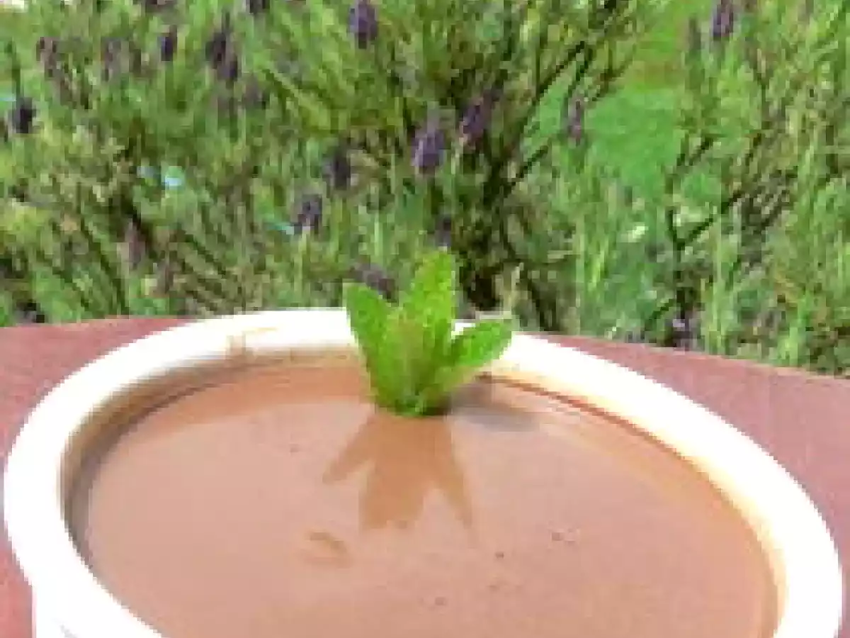 Des pots de crème au chocolat fort en café sans cuisson