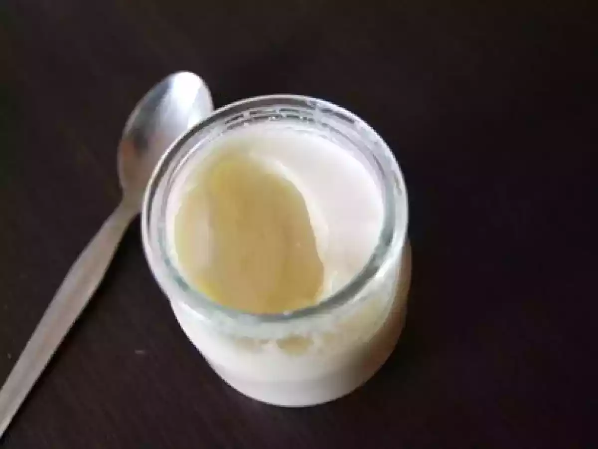 Des yaourts dans mon Cook'in® ! - photo 3