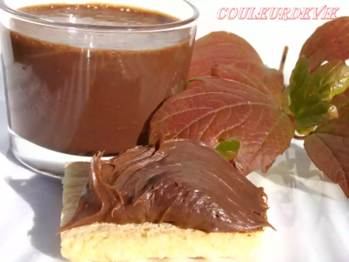 Deuxième pâte à tartiner au thermomix