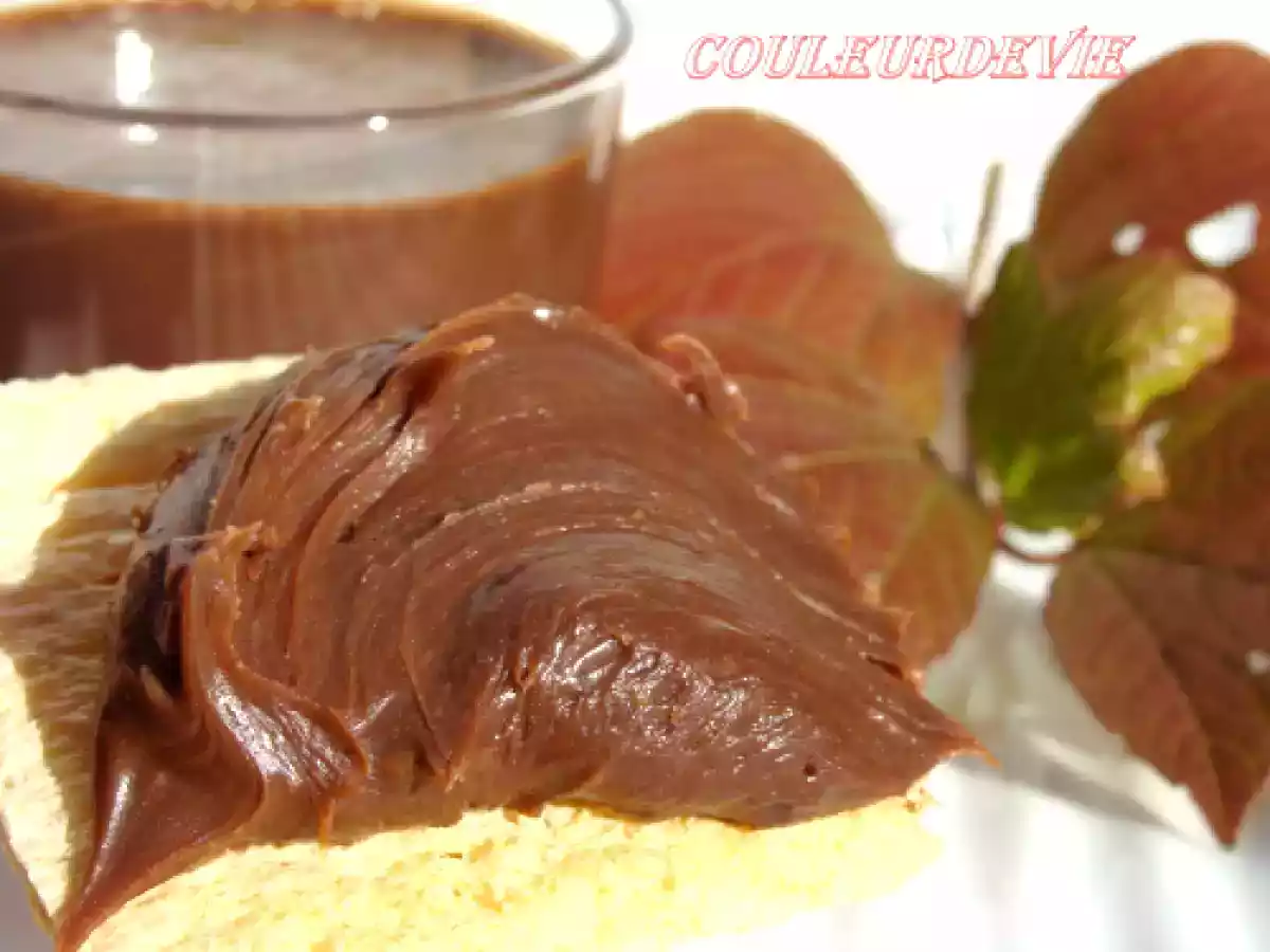 Deuxième pâte à tartiner au thermomix - photo 2