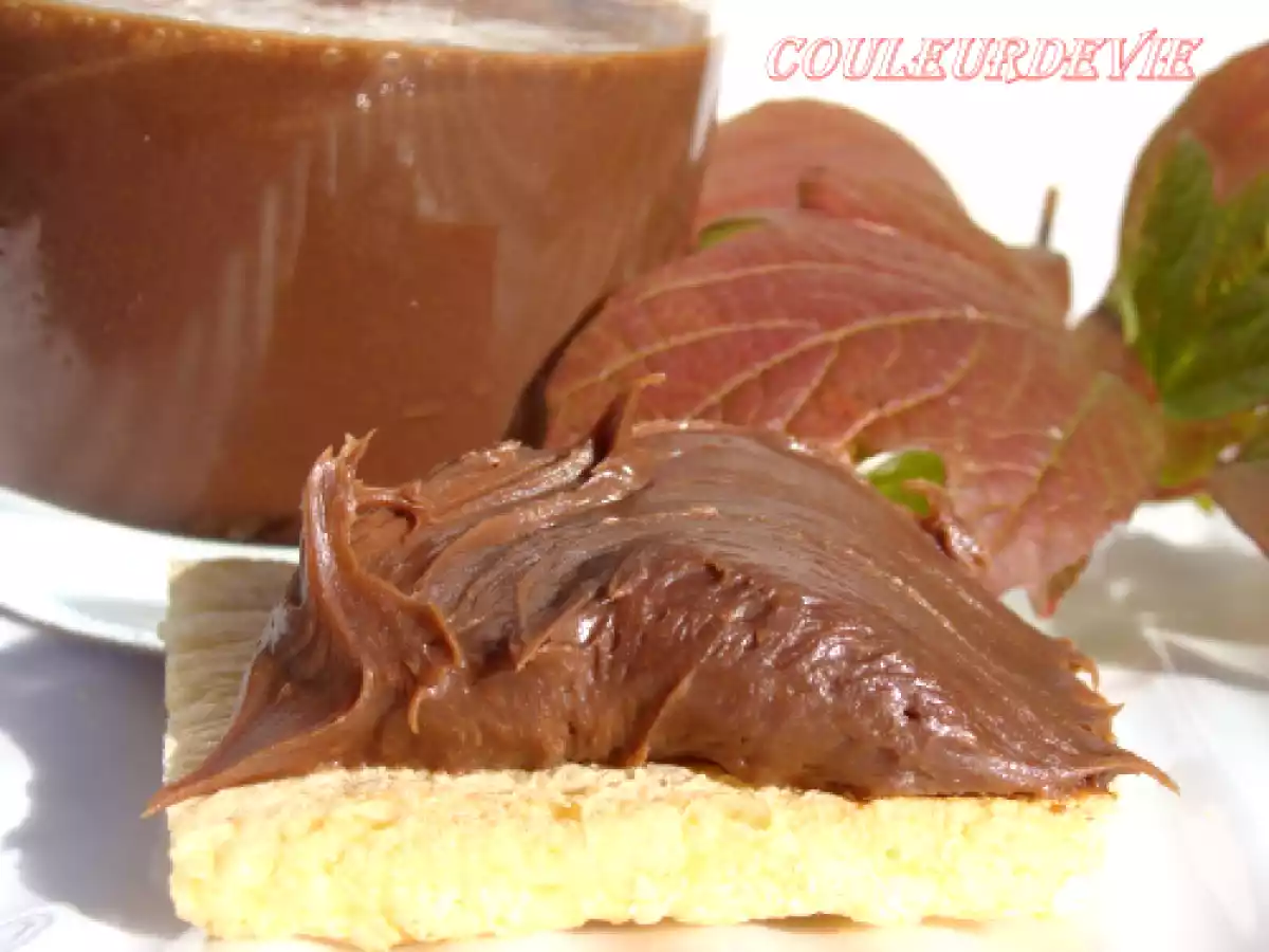 Deuxième pâte à tartiner au thermomix - photo 3