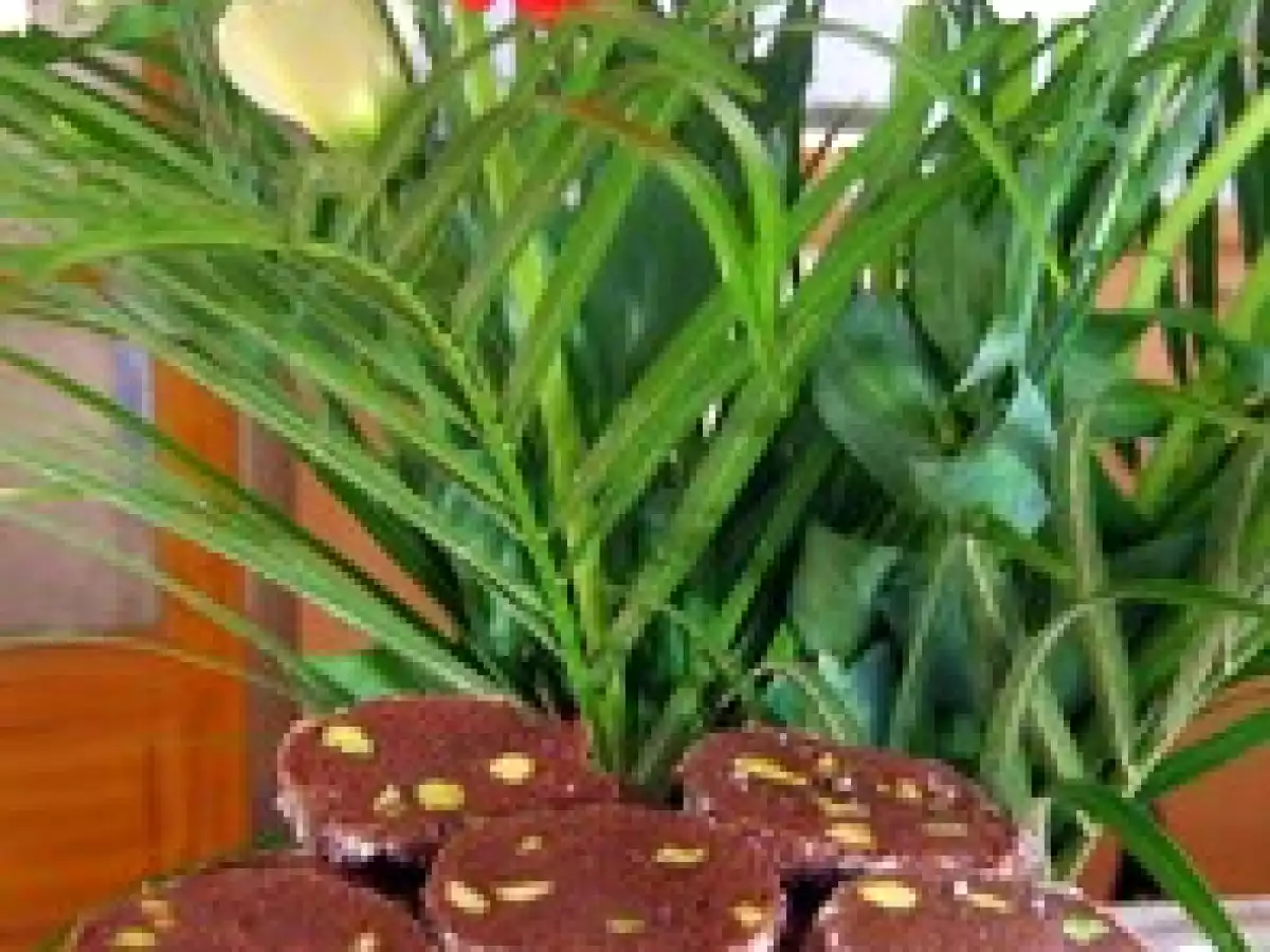 Diamants pistaches/ chocolat - photo 3