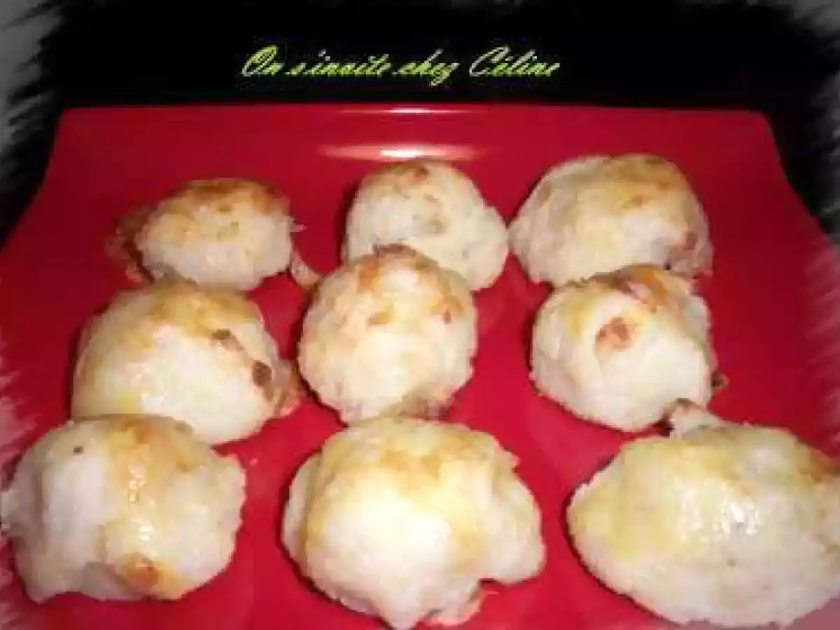 Dômes au saint nectaire