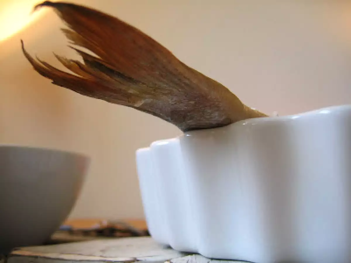 Dorade, coriandre & sel de guérande pour un casse-croûte peu conventionnel... - photo 2