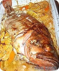 Les poissons à gros yeux rouges sont nocturnes et ont des dimensions o