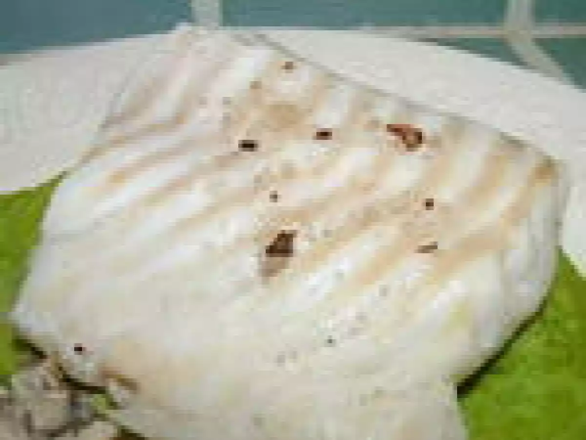 Dos de cabillaud, crème de petits pois et morilles - photo 2