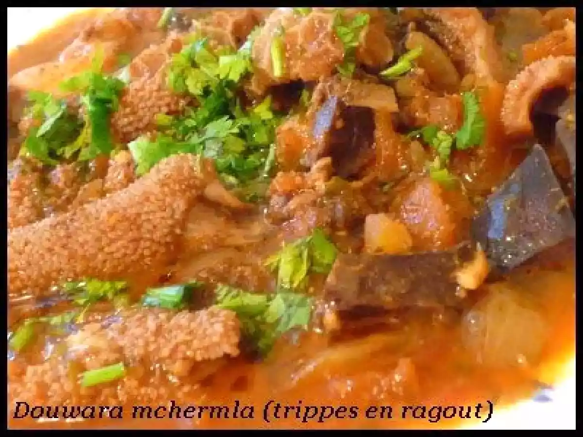 DOUWARA MCHERMLA (TRIPPES EN RAGOÛT)