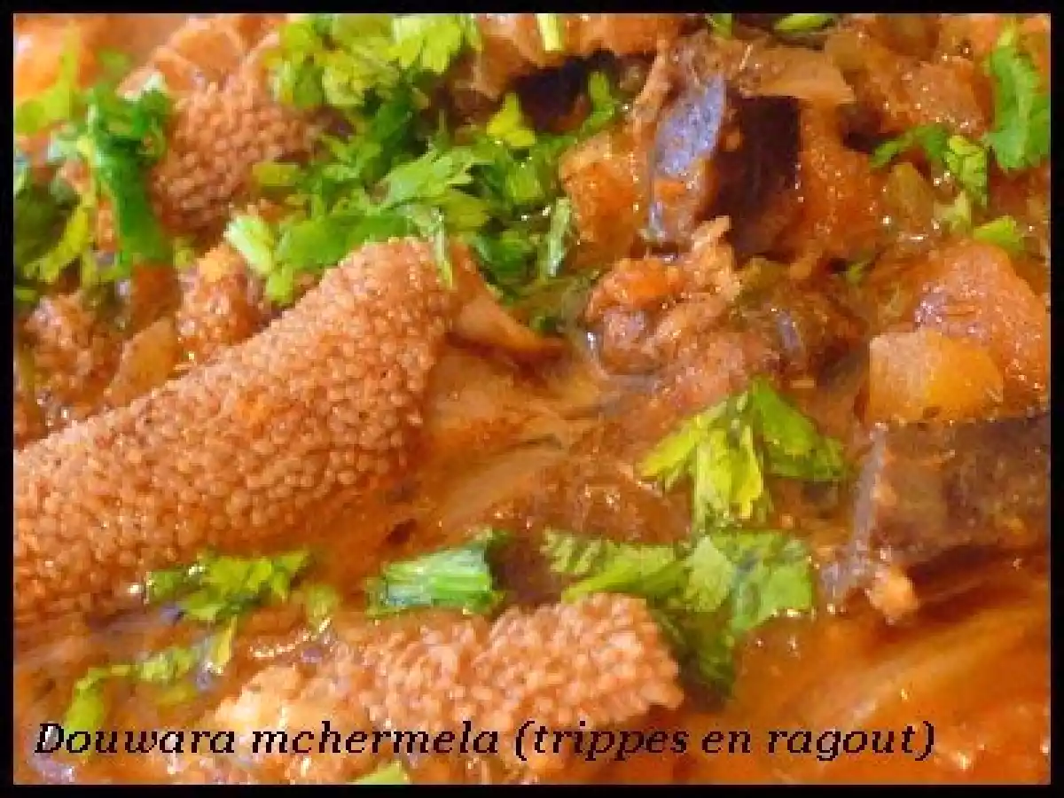 DOUWARA MCHERMLA (TRIPPES EN RAGOÛT) - photo 3