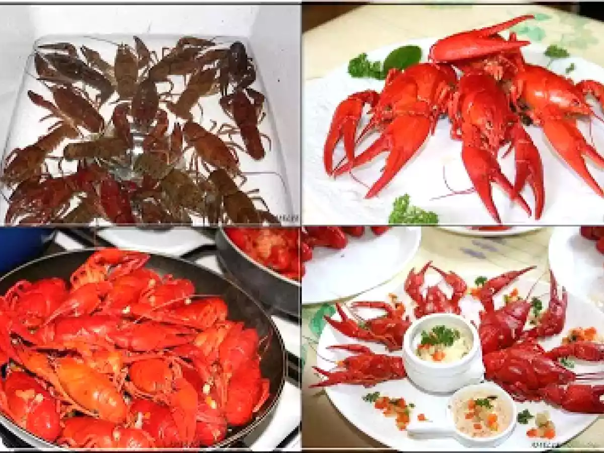 ECREVISSES A LA NAGE DE RIESLING ET BRUNOISE A LA CREME - photo 3