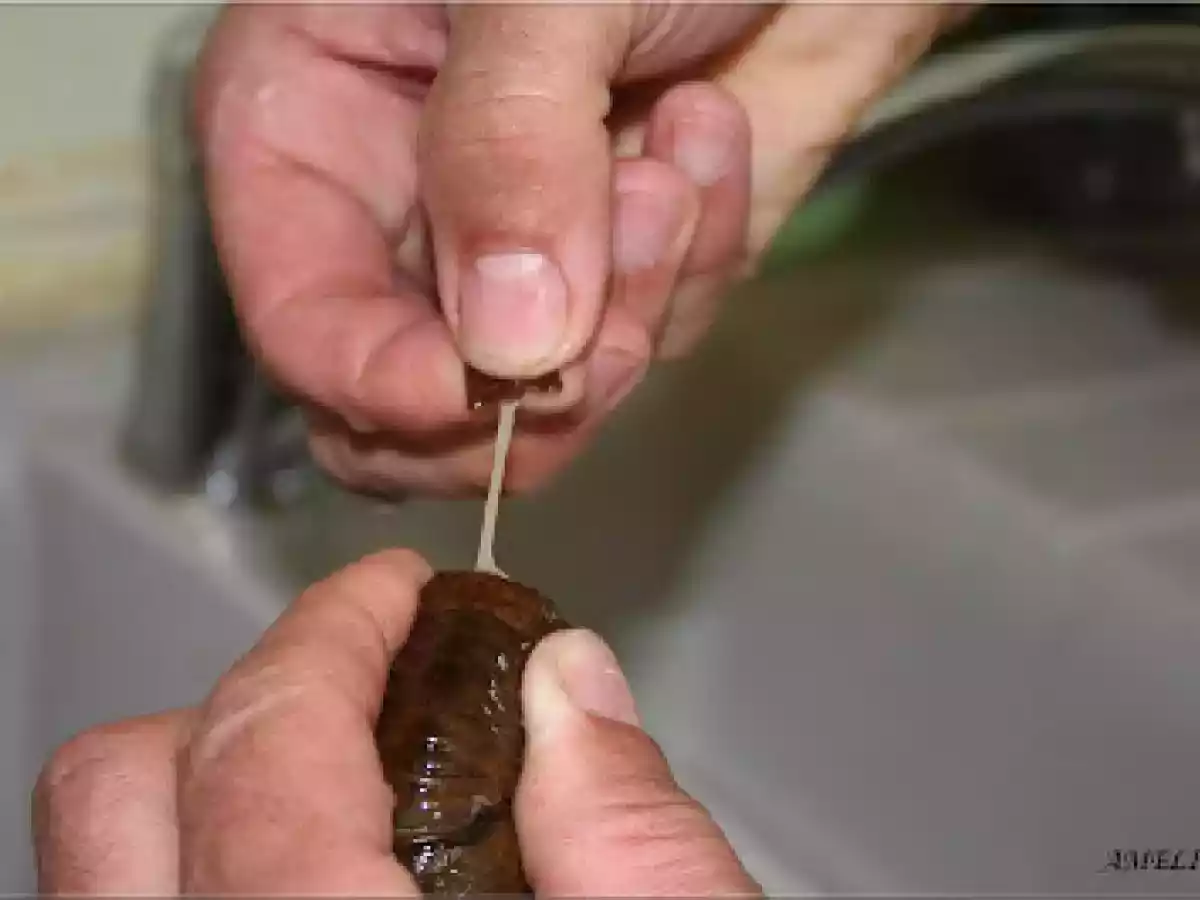 ECREVISSES A LA NAGE DE RIESLING ET BRUNOISE A LA CREME - photo 6