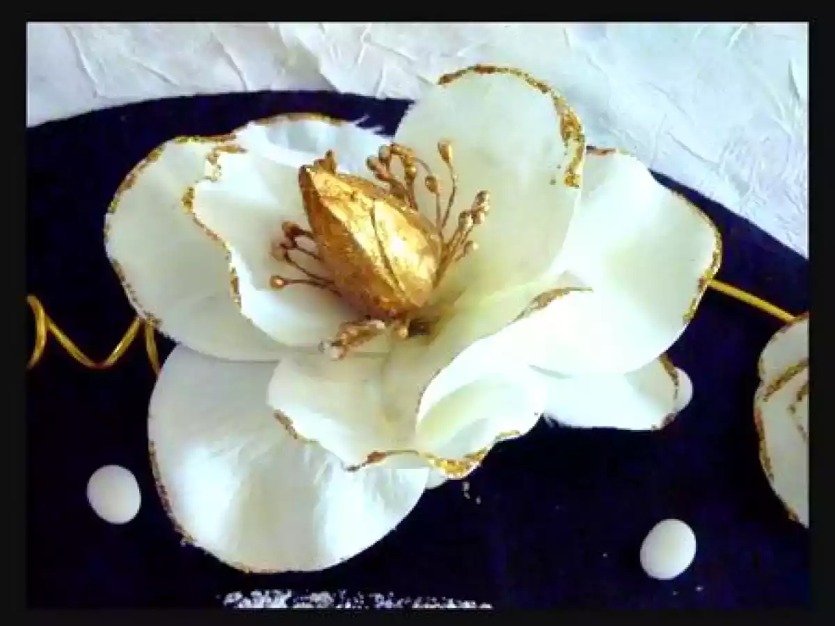 Elle et Vire et le test crème brûlée........ - photo 5