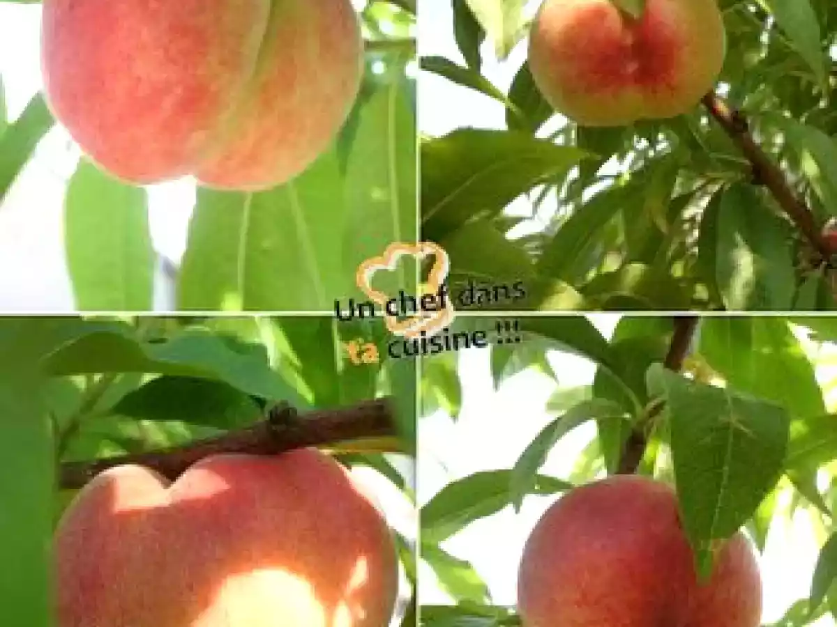 Emincé de Canard aux Pêches - photo 2