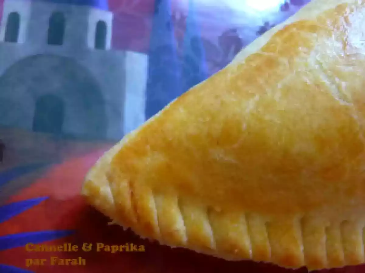 Empanadas à la viande hachée (Espagne, Amérique du sud)