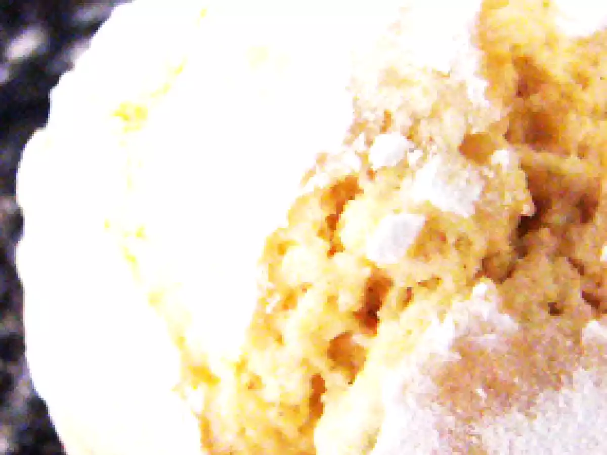 En avant les preparatifs gourmands de Noel, biscuits gingembre-citron-citron vert - photo 2