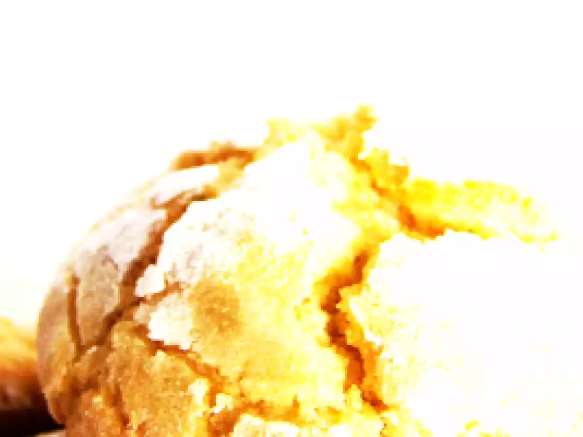 En avant les preparatifs gourmands de Noel, biscuits gingembre-citron-citron vert - photo 5