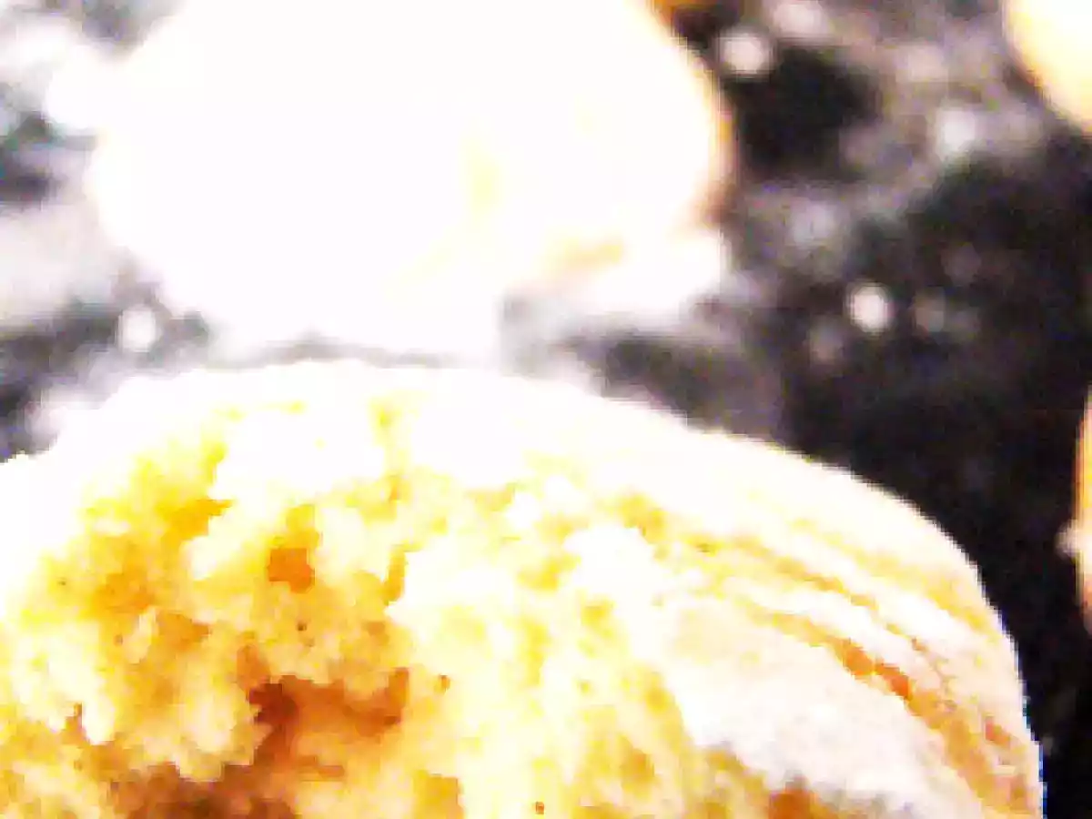 En avant les preparatifs gourmands de Noel, biscuits gingembre-citron-citron vert - photo 6