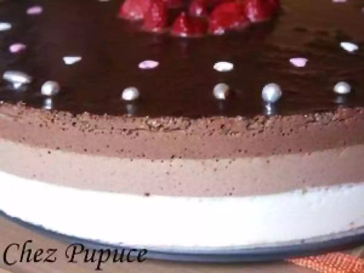 Entremet aux 3 chocolats et son miroir de chocolat noir