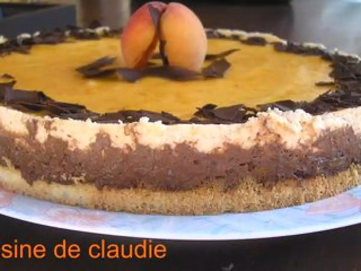 Entremet chocolat-abricot