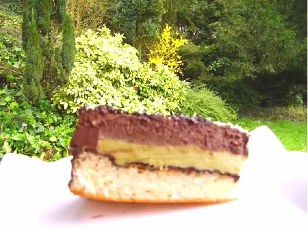 ENTREMET CHOCOLAT PISTACHE - photo 2