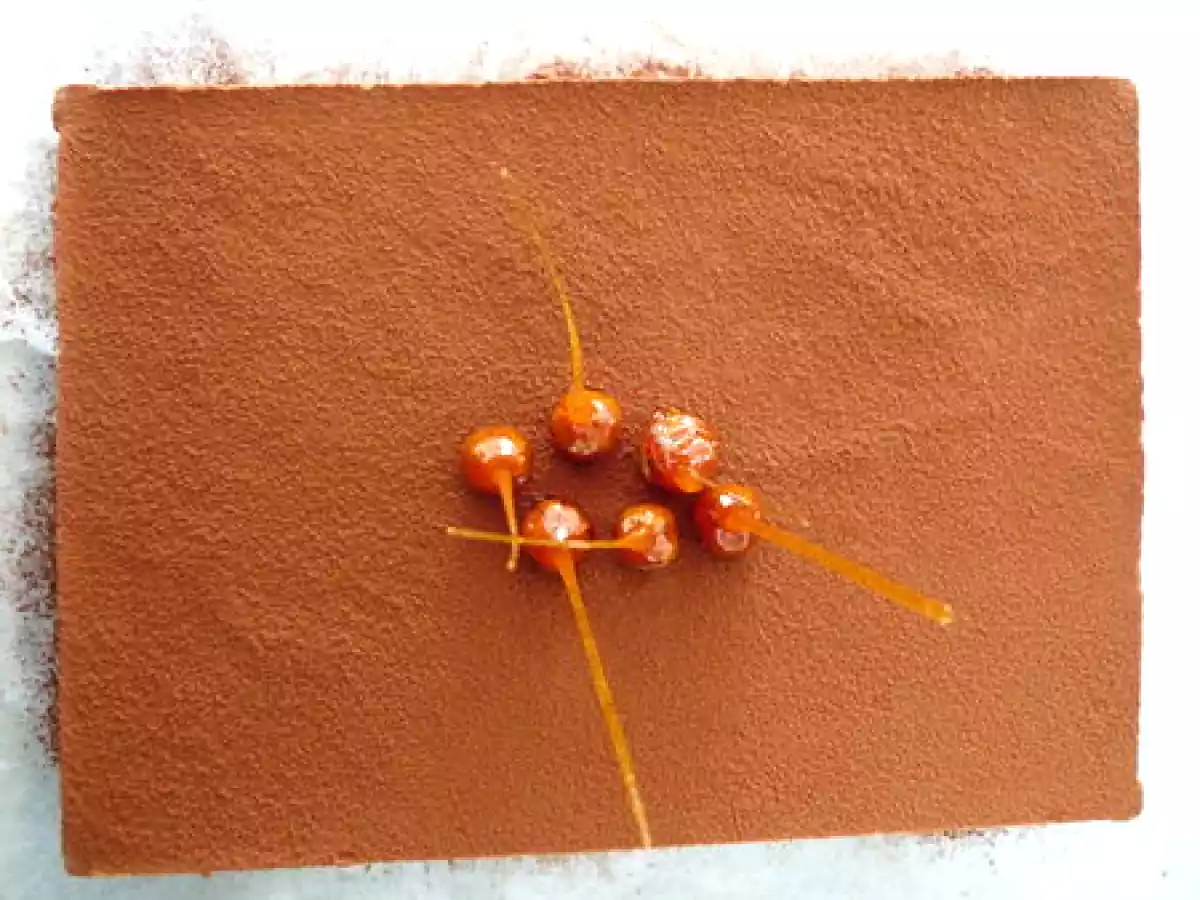 Entremets aux deux chocolats en duo...