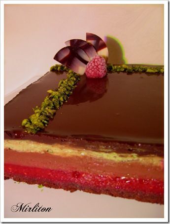 Gâteau Stitch 🥰 Chocolat/framboises - Entremets passion