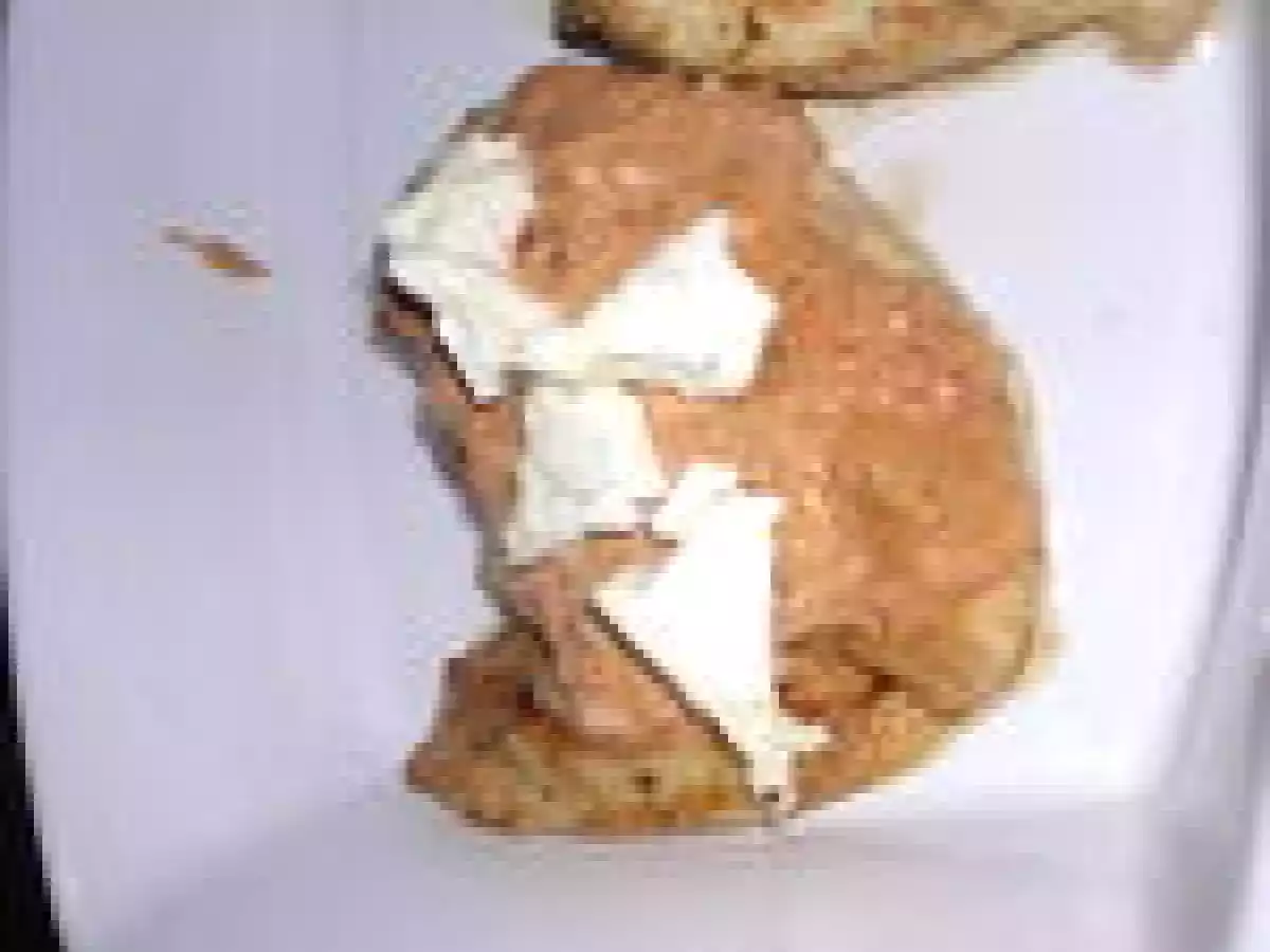 ESCALOPE DE POULET GRATINEE - photo 2