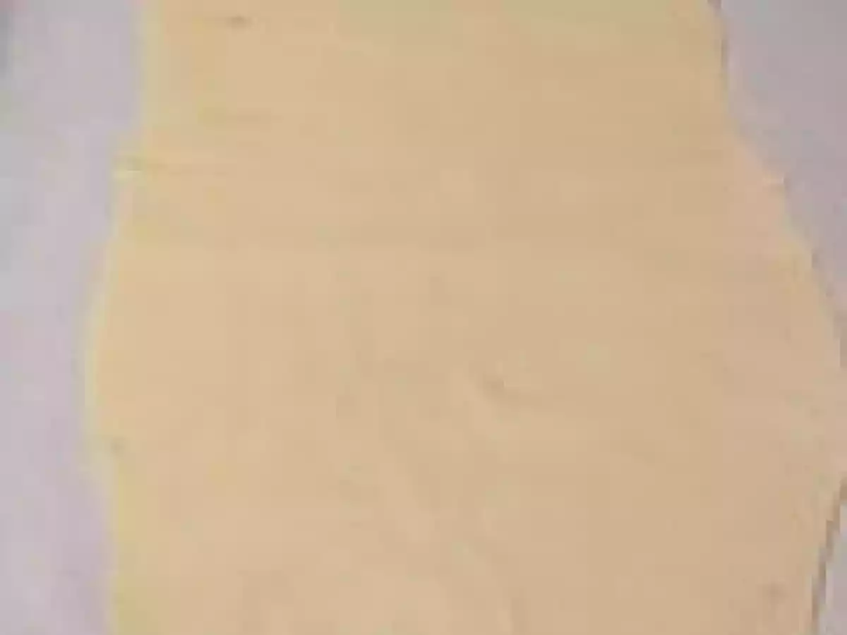 Escargots Feuilletés aux Champignons - photo 3