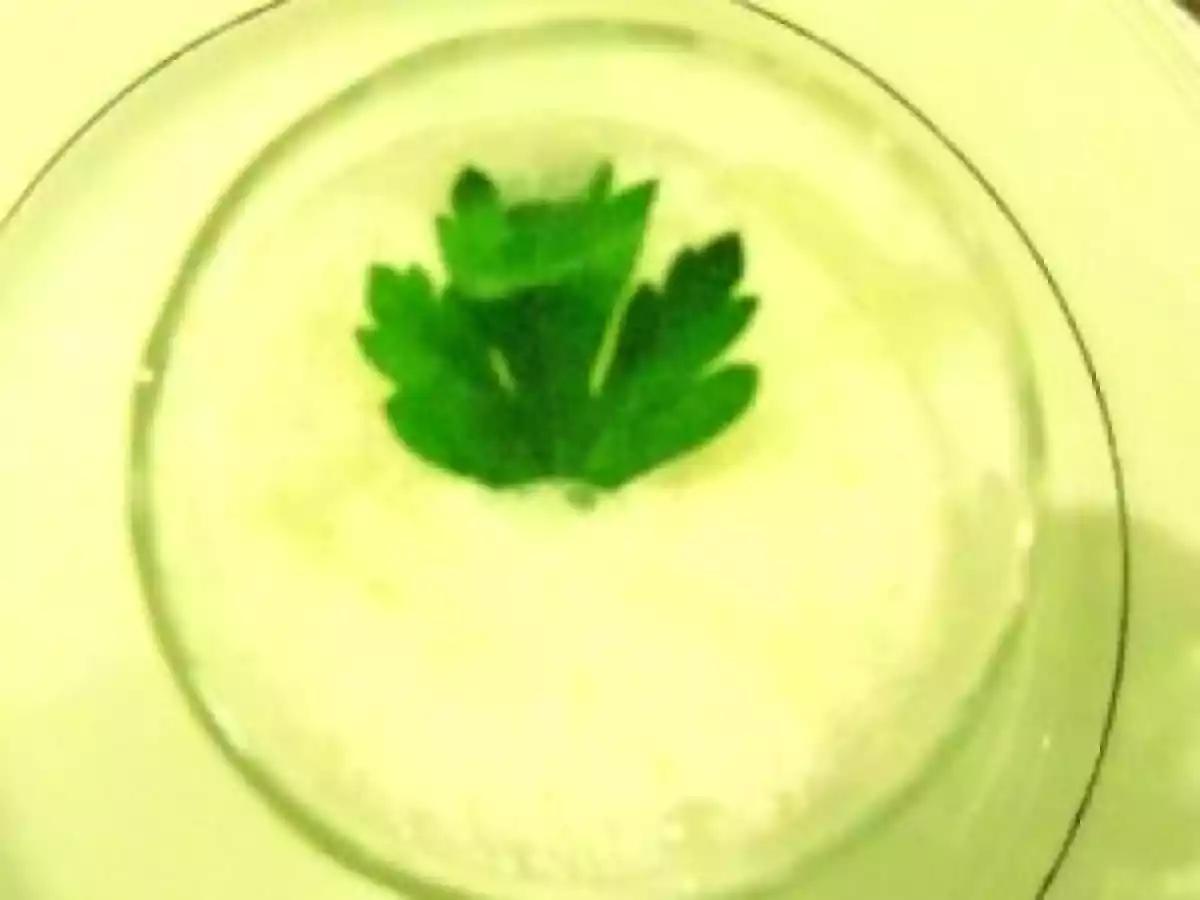 Esprit de tourin ou Trou périgourdin - photo 2