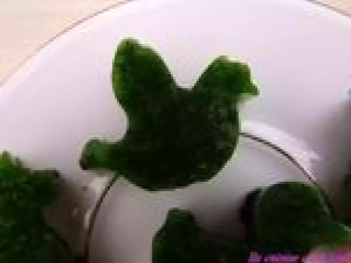 Espuma de scarole - photo 2