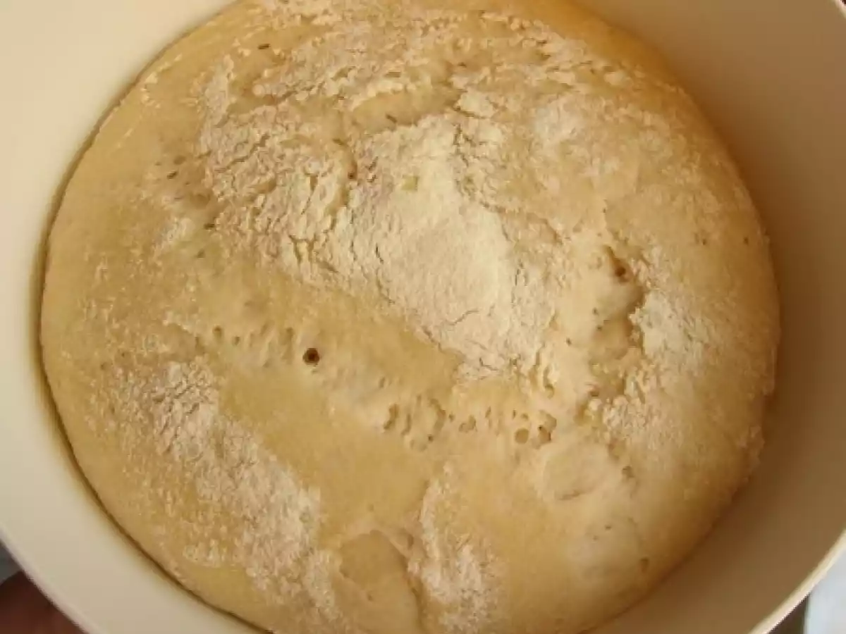 Expérimentation du Levain Naturel à Base de Raisins.