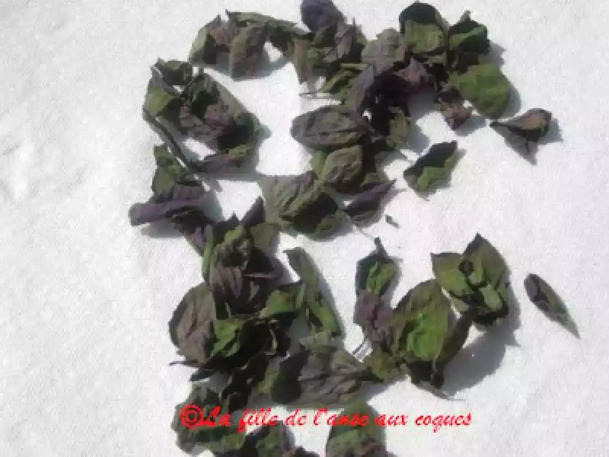 FAIRE SÉCHER DES HERBES FRAÎCHES - photo 2