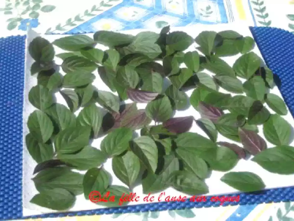 FAIRE SÉCHER DES HERBES FRAÎCHES - photo 5