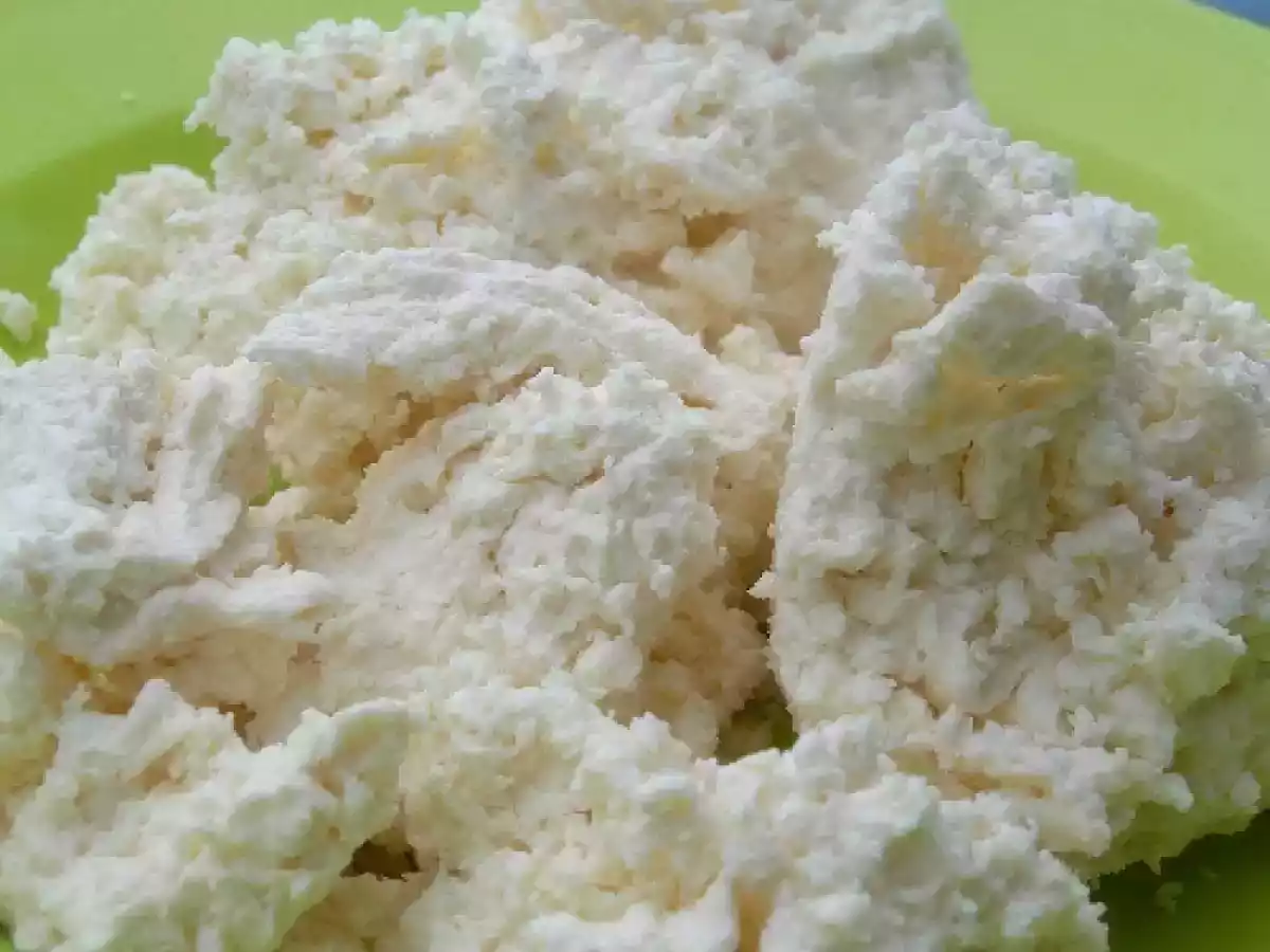 Faire son cottage cheese et sa ricotta maison c'est si facile - photo 2
