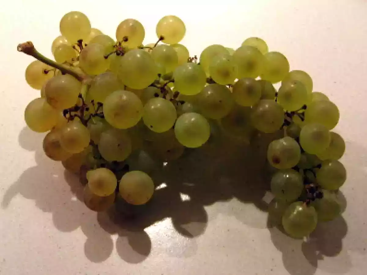 Faisan aux pruneaux et aux chasselas - Fasan mit Pflaumen und Chasselas-Trauben - photo 7