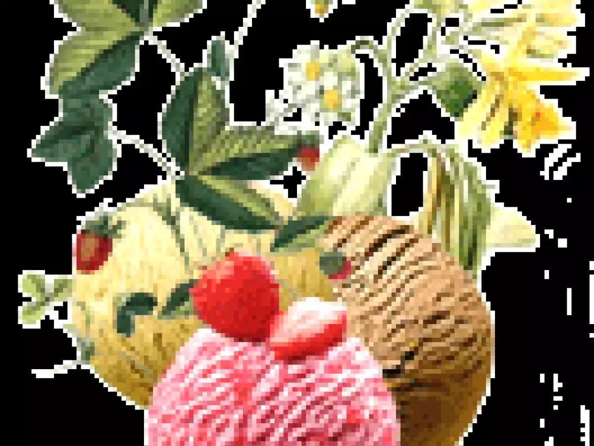 Faites vos glaces et sorbets vous même !(Dukan bien sûr !!) - photo 2