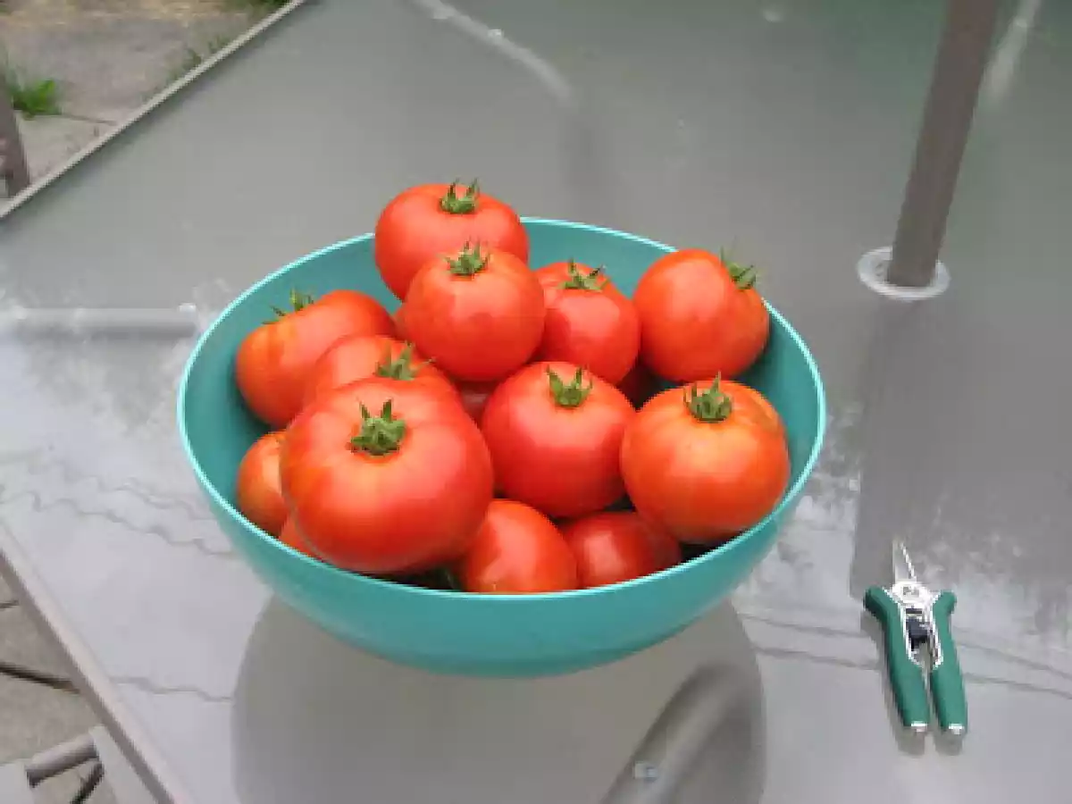 Fattouch (salade libanaise) - photo 3