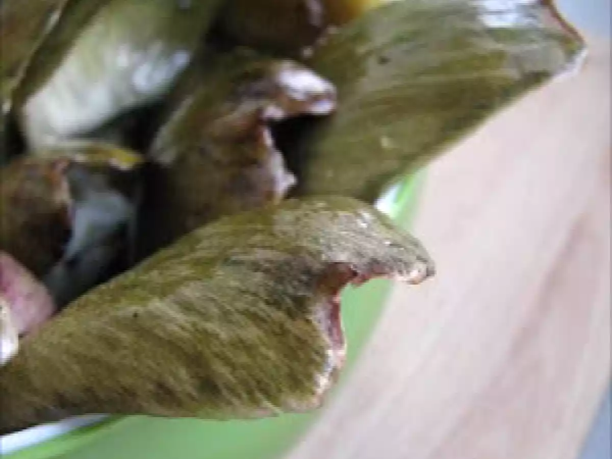 Feuilles d'artichaut grillées, parmesan & thym