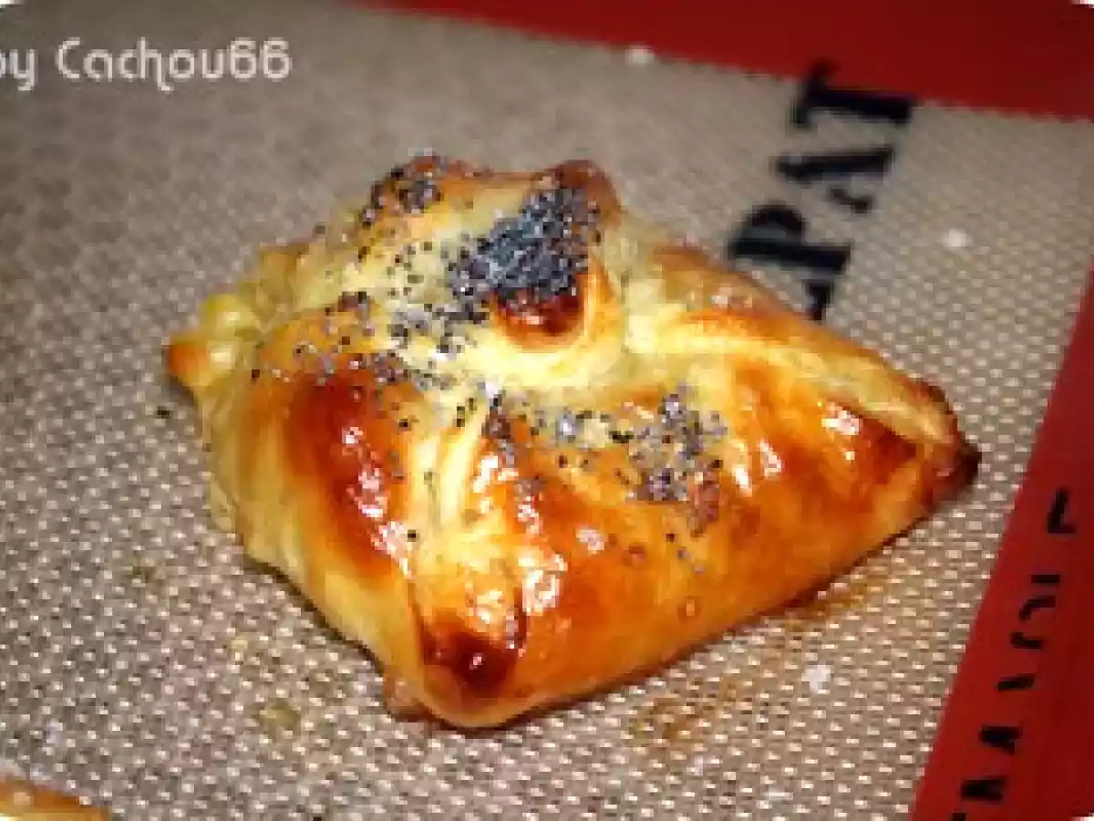 Feuilletés ou tourtes au foie gras et pommes - photo 4