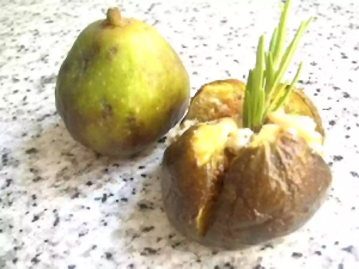 Figues rôties au fromage de chèvre, miel, romarin et huile d'olive - photo 2