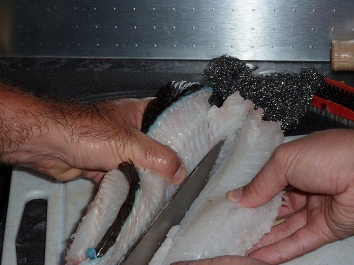 Recette de filet de vieille à la plancha et risotto simple