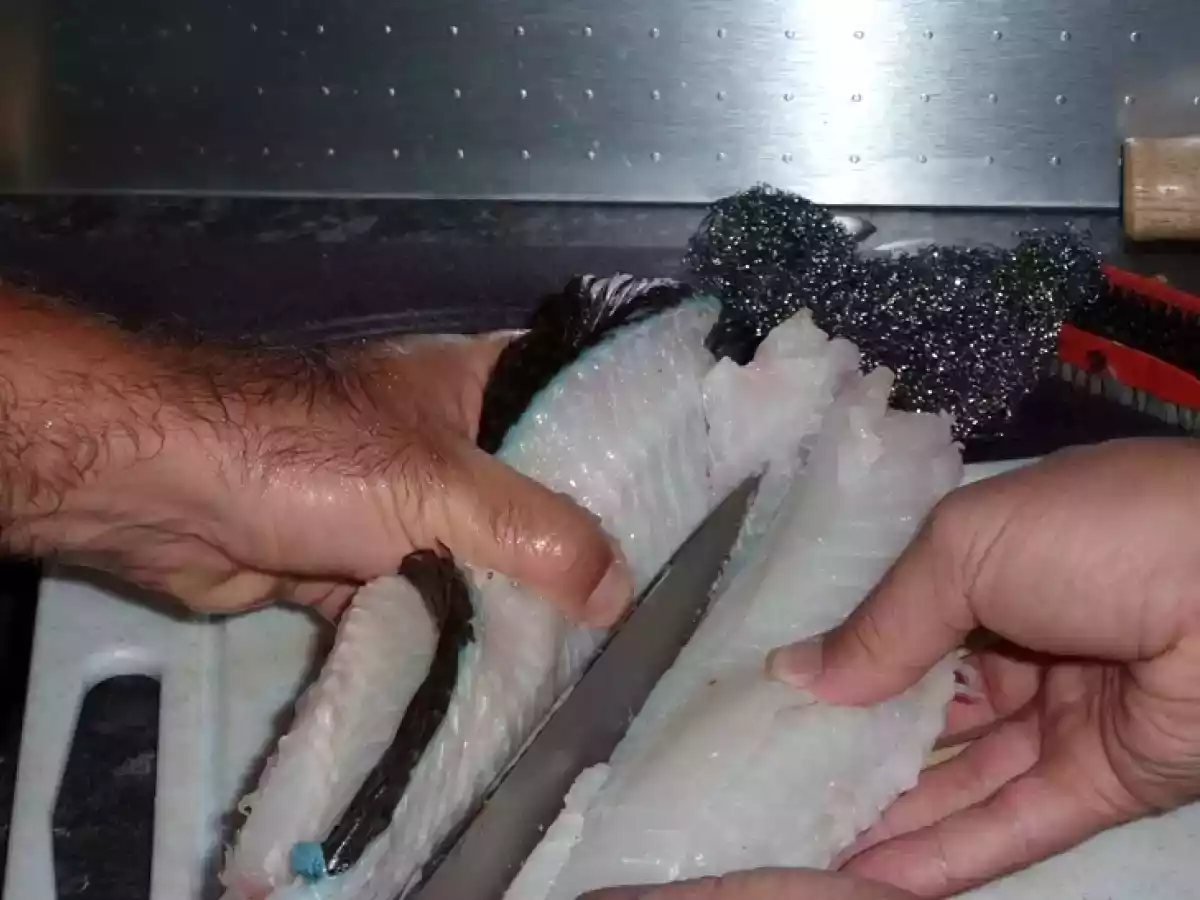 filet de vieille à la plancha à une creme de patisson au rissoto au champignon