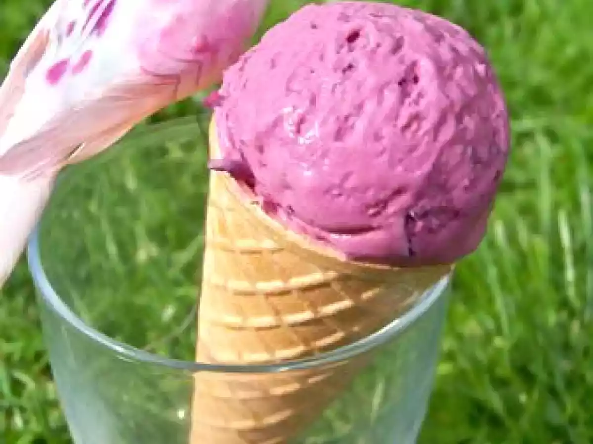 financier a l'hibiscus et glace hibiscus - photo 2
