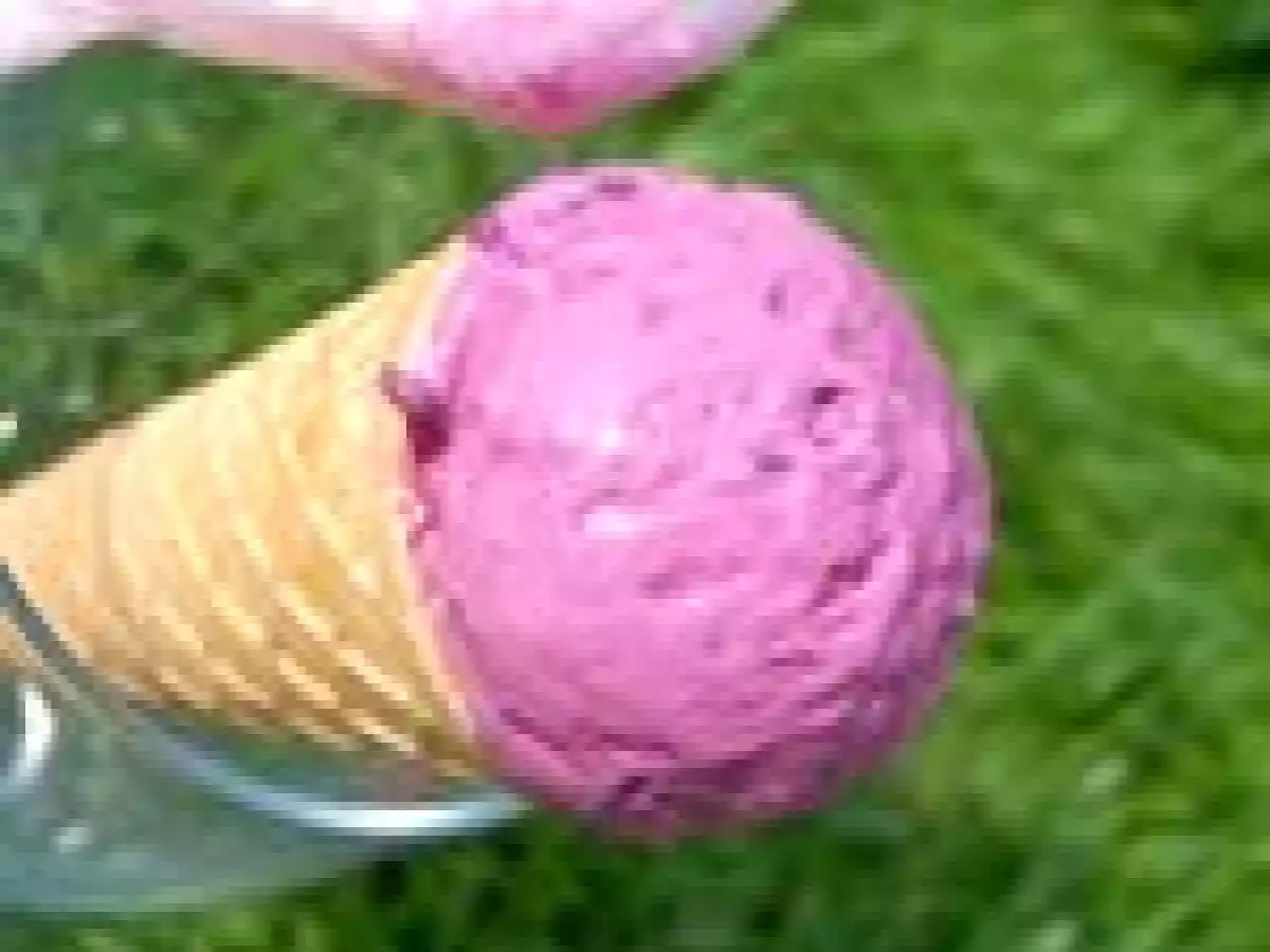 financier a l'hibiscus et glace hibiscus - photo 4